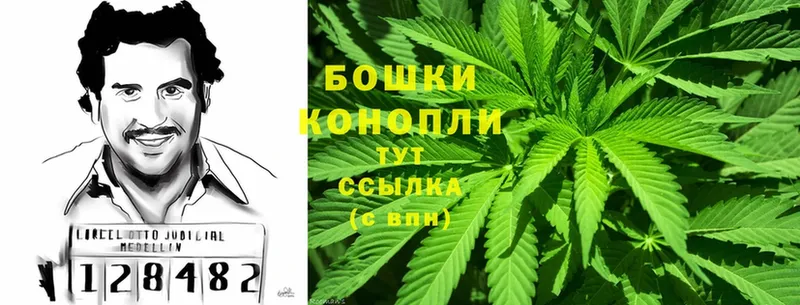 shop телеграм  купить закладку  Луга  МАРИХУАНА LSD WEED  KRAKEN ONION 